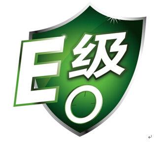 E0級別